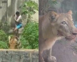 2177685692c6c841585a.mp4-9