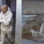 ギャンブルで借金した男がエレベーターで向かった先は…高所から飛び降り自殺