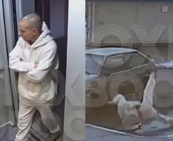 2177685692e8069824e2.mp4-9