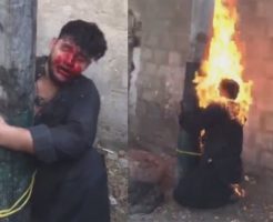 2177685692f3b951e08d.mp4-9