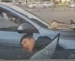 21776856935a56087a46.mp4-9