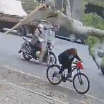 サイクリングするには最悪のタイミング、中国で木の下敷きになった人 サイクリングするには最悪のタイミング、中国で木の下敷きになった人