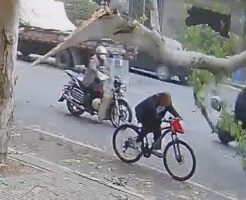 2177685693ca063e0a15.mp4-9