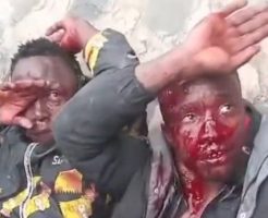 225851269386432134c0.mp4-3