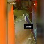 迅速に車を盗まなかったらこうなります。車泥棒、車を盗めず射殺される 迅速に車を盗まなかったらこうなります。車泥棒、車を盗めず射殺される