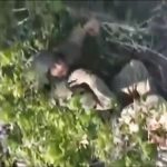 慈悲を乞うロシア兵、それでもドローンは容赦なく焼いていく