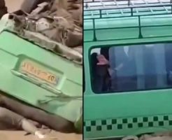 689168693ff9b188082.mp4-9