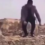 ちょっと高い場所からジャンプ→着地に失敗し、崖から落ちる