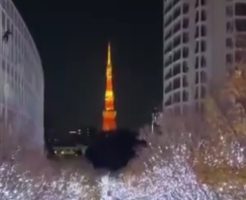 844253693aaf6bc2cbb.mp4-3