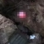 上空からの爆撃を受けた兵士、頭が吹き飛び脳みそが外へ