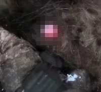 PCSSnTmHrOVPtfk1765950564_1765950577