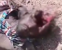 gHt0fF6z0kxyOCd1765091942_1765091952