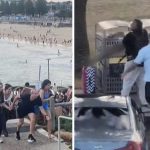 ビーチで起きた銃乱射事件、12人が死亡し30人が負傷する事態に… ビーチで起きた銃乱射事件、12人が死亡し30人が負傷する事態に…