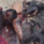 ギャングの残虐性が露わに…ギャングによって拷問を受け燃やされ殺された6人の死体 ギャングの残虐性が露わに…ギャングによって拷問を受け燃やされ殺された6人の死体