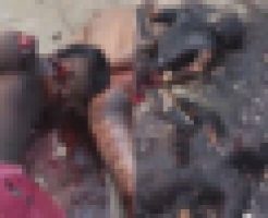 vatwYuJM48u1WEs1765004444_1765004463