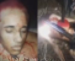 z2IPVkselkCUs3r1766036483_1766036511