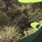 マウンテンバイクで崖を下るということは危険と隣り合わせ